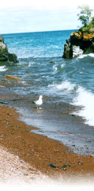 Larsens Lakeview Cabins' shoreline